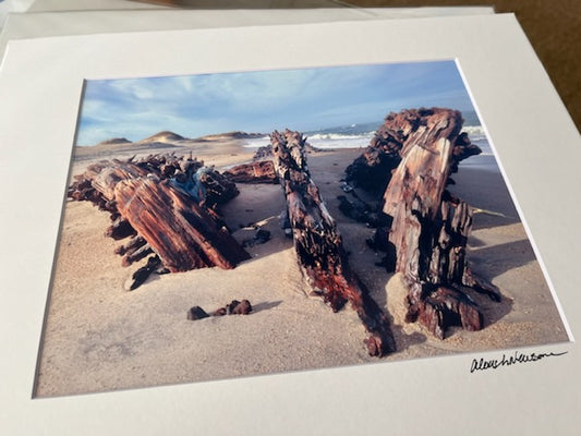 Matted Print 11" x 14" - Kohler Shipwreck Outer Banks North Carolina