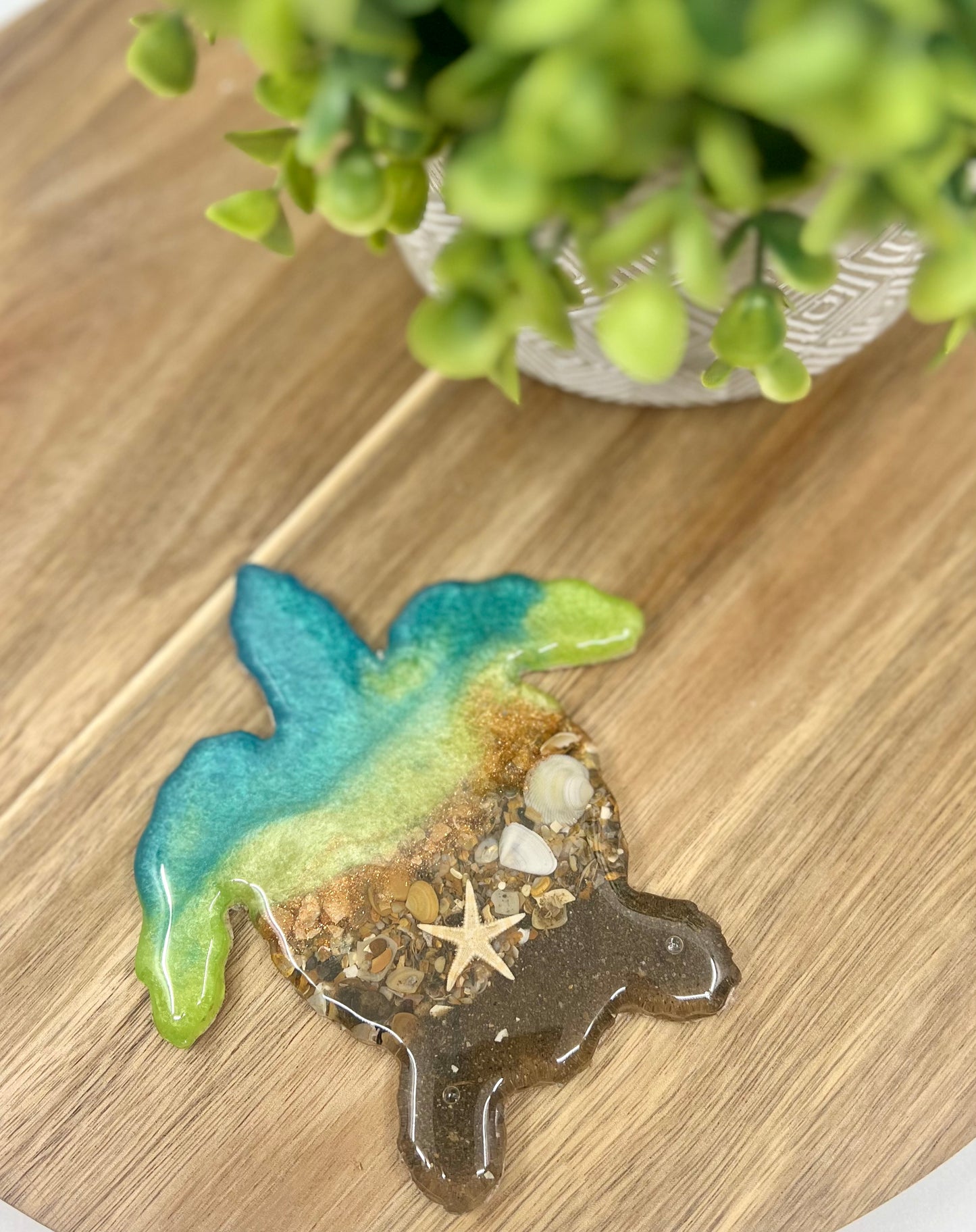 Coaster - Sea Turtle BLUE & GREEN with Outer Banks Shells