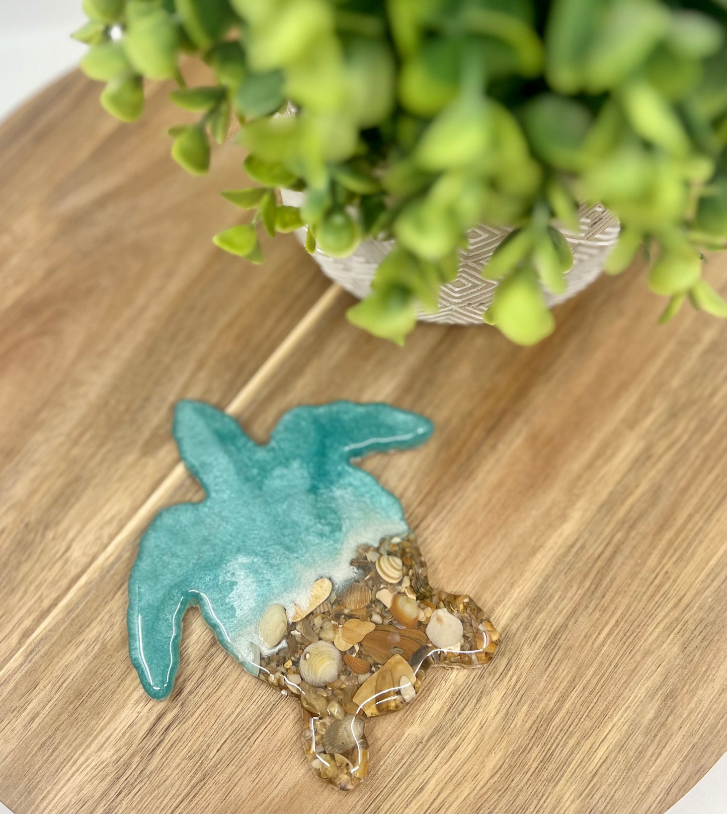 Coaster - Sea Turtle LIGHT TEAL BLUE with Outer Banks Shells