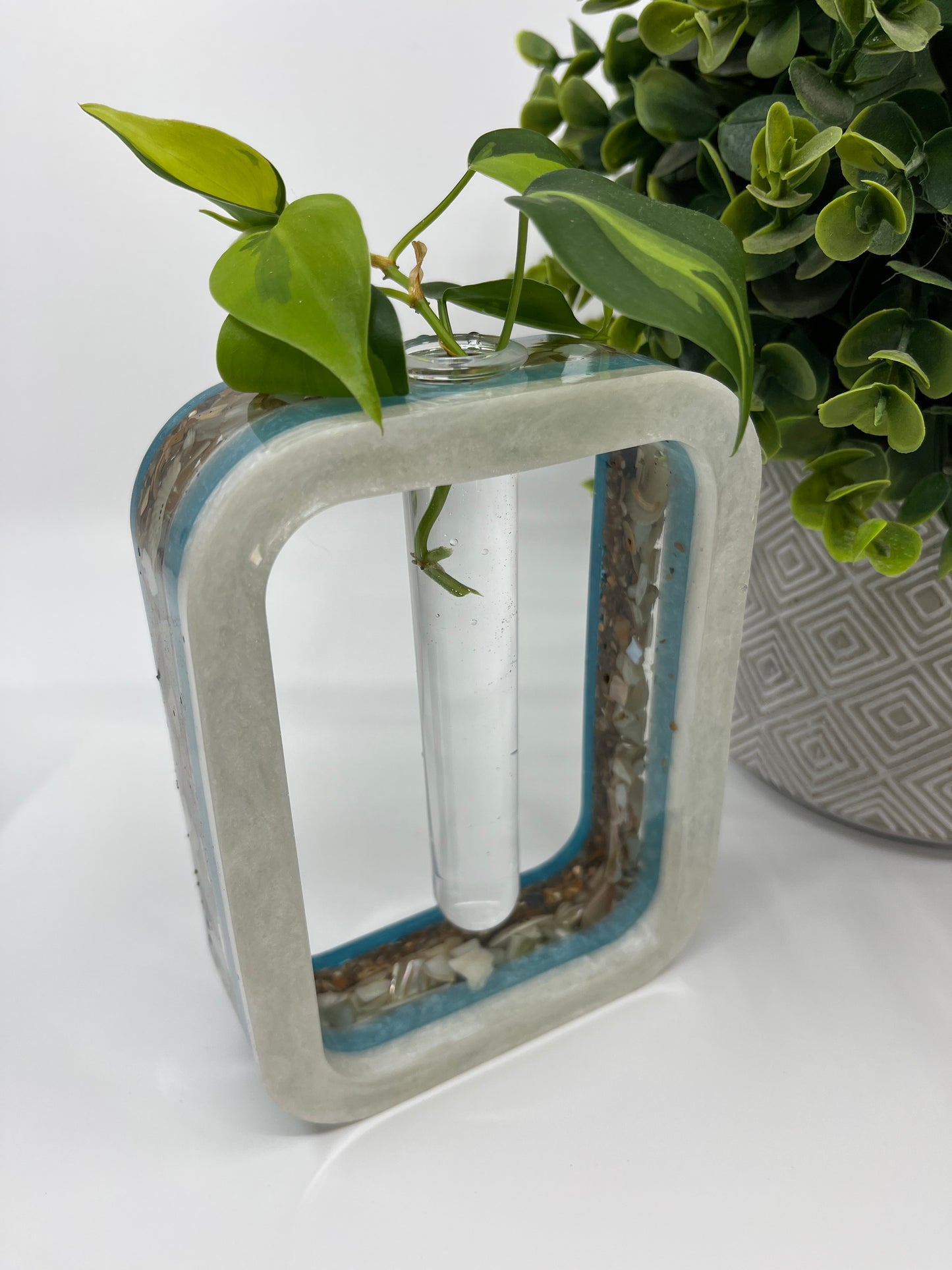 Plant Test Tube Resin Starter Vase - Teal, Shells, Baby Blue, White #1