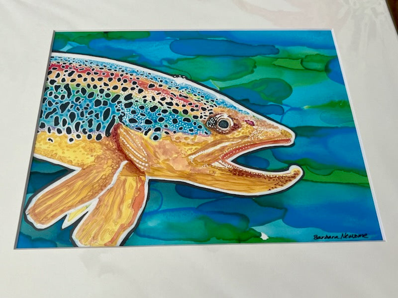 Matted Print 11" x 14" - Rainbow Trout