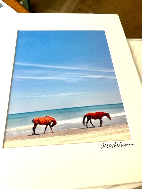 Matted Print 11" x 14" - Corolla Horses North Carolina